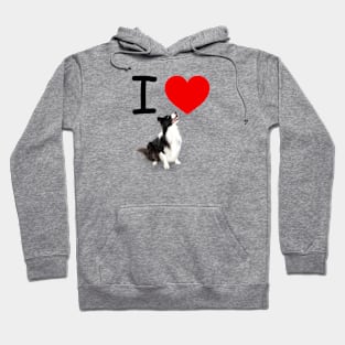 I HEART BORDER COLLIES Hoodie